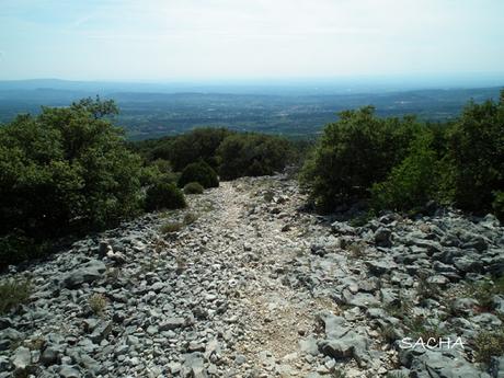 Rochers congolais lavande balade dans Ventoux Combe Curnier Landerot Pié-Gros clichés diaporama