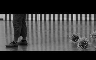 Colette et les pantacourts