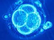 fait d’interdire femme faire recherche scientifique embryons issus d’une fécondation vitro viole l’article CEDH