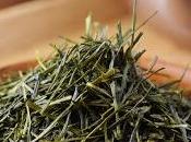 parfum enivrant deux Shizu-7132 Hon.yama