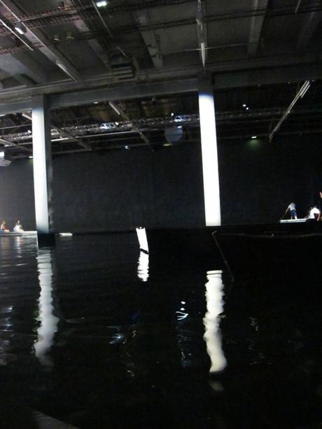 Céleste Boursier-Mougenot / Acquaalta