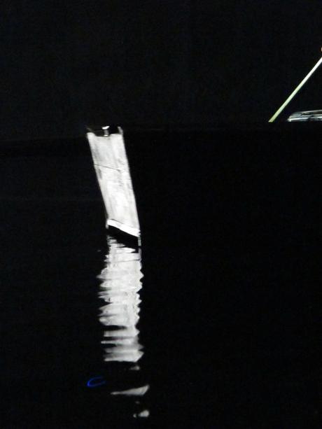 Celeste Boursier-Mougenot / Acquaalta