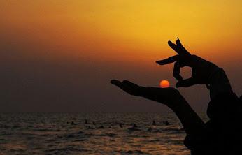 semaine du 17 au 23 Aout 2015