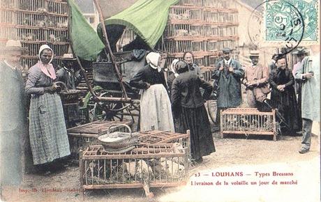 1906  Le Marché aux Volailles à LOUHANS