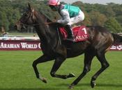 Deauville, anglais quelques faux