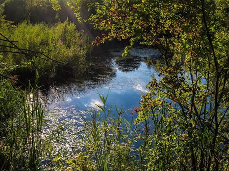 Adieu au mois d'août