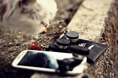 La photo avec Pixter