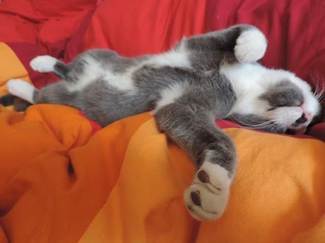 Une rentrée sans stress !