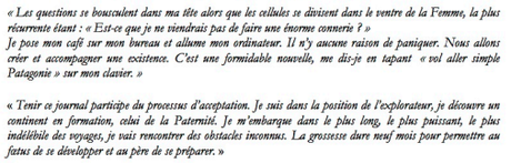 In utero de Julien Blanc-Gras