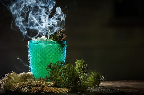 Le Soubois: une forêt sous-terraine en plein coeur de Montréal