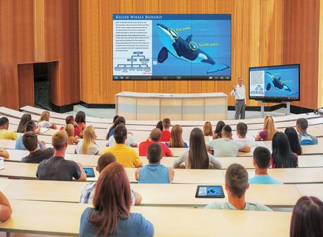 img-p-pn-80tc3-biology-background-170036830-960