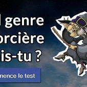 Je serais une sorcière bienveillante. Quel genre de sorcière serais-tu ?