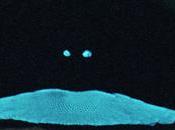 Clip Boeing Feu! Chatterton