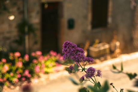 Cordes sur Ciel
