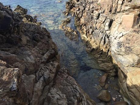 Notre été à Quiberon