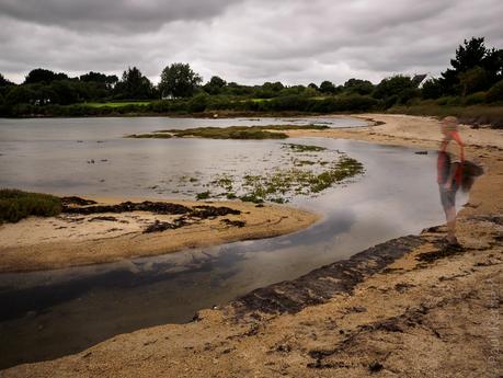 rencontre au fond de l'anse (2 photos)