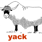 dessin de yack