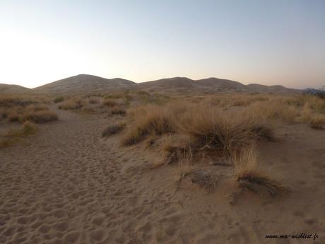 kelso dune parc mojave usa