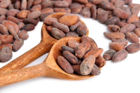 Crédit photo : cacao par Shutterstock