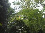 courge récalcitrante