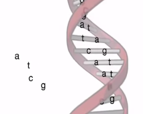 Capture d’écran 2015-09-05 à 10.08.36 Capture d’écran 2015-09-05 à 10.08.36