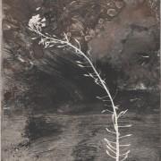 Exposition «Laver les ombres»  Élisabeth Delétang au  Château de la Falgalarié (81)