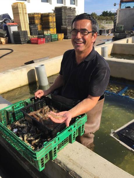 Cuisine d’ailleurs : Régine à la découverte de crevettes impériales bio à l’Île de Ré