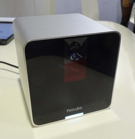 IFA 2015 : Petcube, un gadget pour s'occuper de son animal de compagnie à distance
