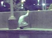 désespoir d’un médecin bouleverse internautes