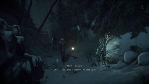 Critique – Until Dawn