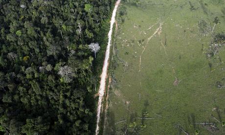 Une vue aérienne montre une déforestation illégale dans l'Etat du Para, au Brésil.