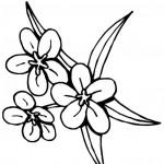 dessin de fleurs