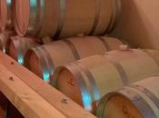 Visite Clos Barbanne Montagne Saint Emilion