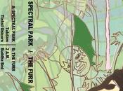 Spectral Park Furr Split Cassette