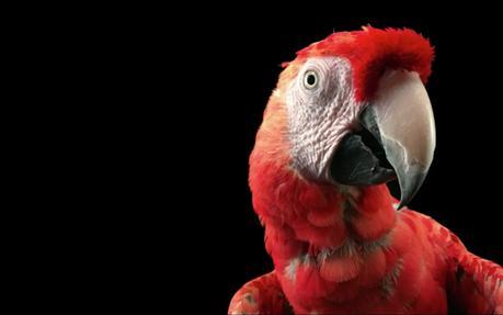 Apple TV 4, iPad Pro et iPhone 6s sont là!