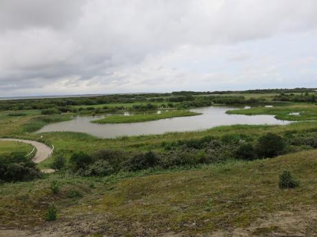 Le parc du Marquenterre