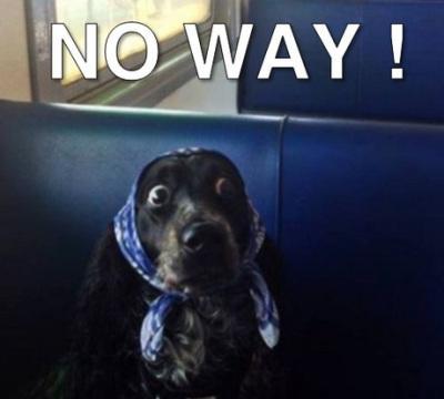 Choqué à tout prix no-way