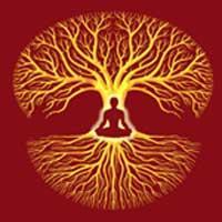 En route vers le respirianisme 2 En route vers le respirianisme 2