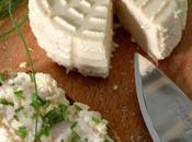 Fromage frais herbes
