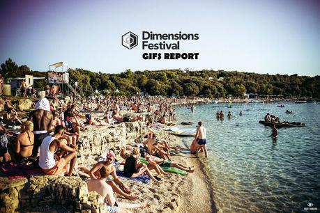 Dimensions Festival 2015  |  GIFS REPORT
