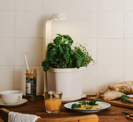 MAISON & OBJET Sept 2015 : so 