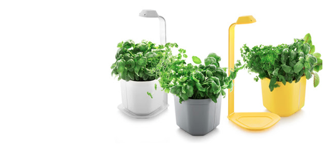 MAISON & OBJET Sept 2015 : so 