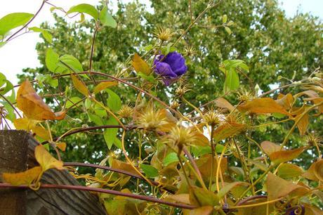 Riposte à l'été 2015 !