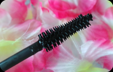 Miami beach babe : La dernière collection de Kiko