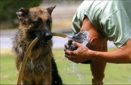 Divers - Images insolites-1