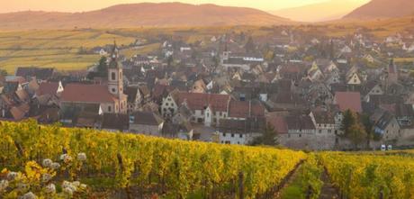 Vignoble alsacien. (Miles Ertman/AFP)