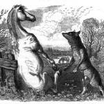 illustration de fables