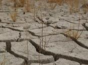 Climat: brûler pétrole était acte criminel»?