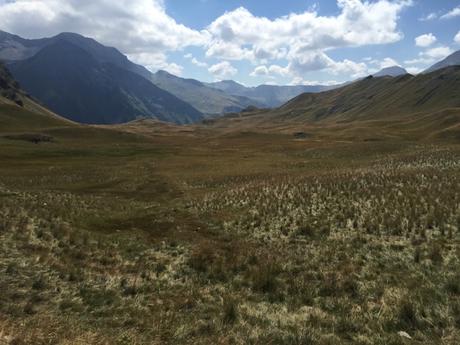 Massif des Écrins encore       #05