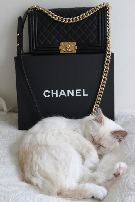 boy_chanel_chaînes_dorées